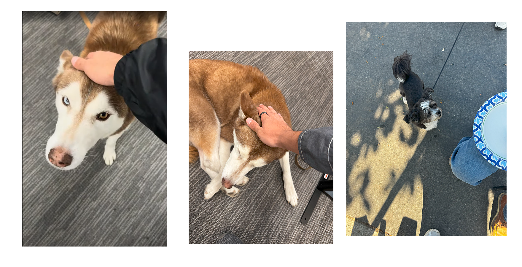 Working with my best design team