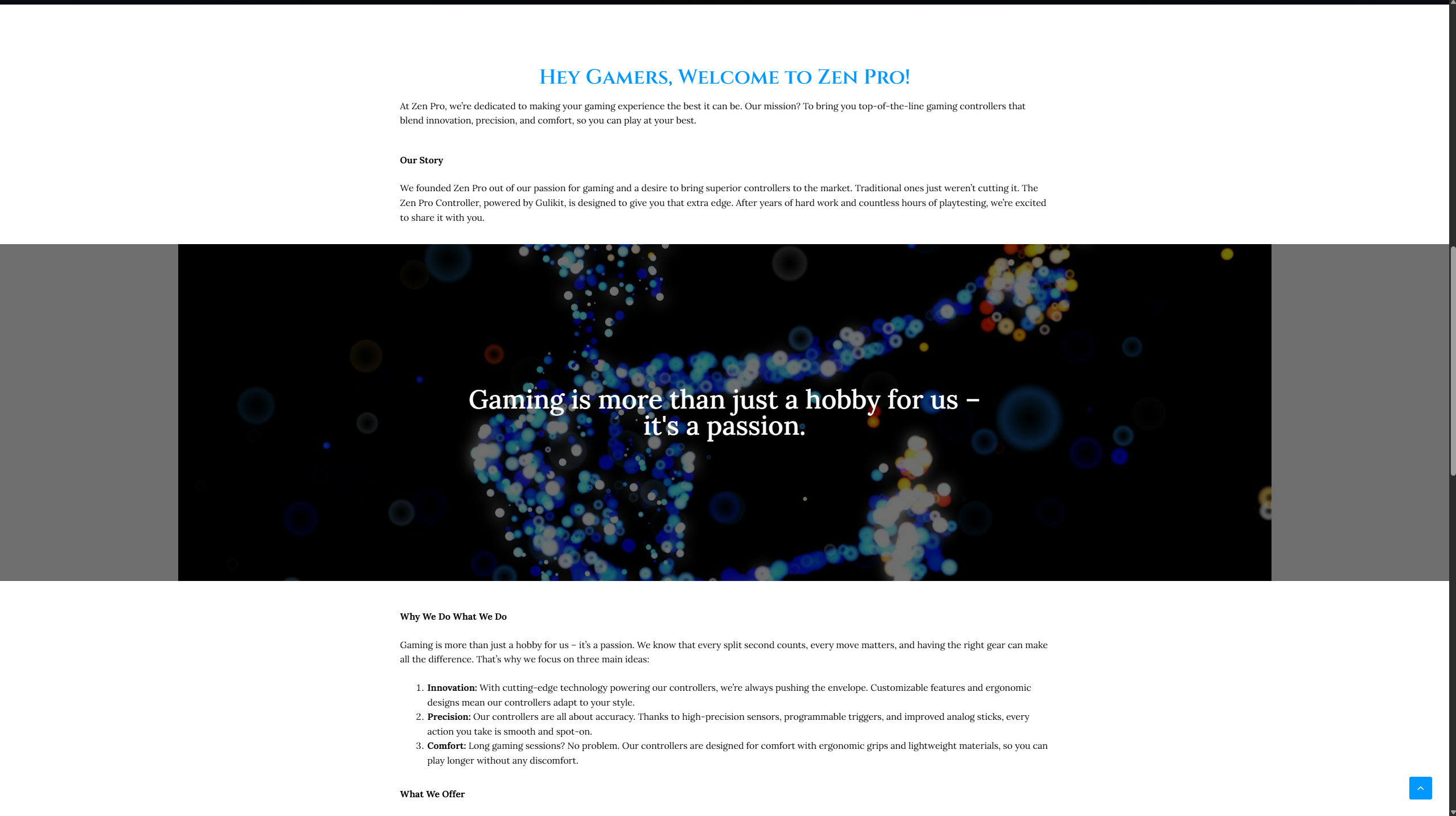 Zen Pro Before - Original Website